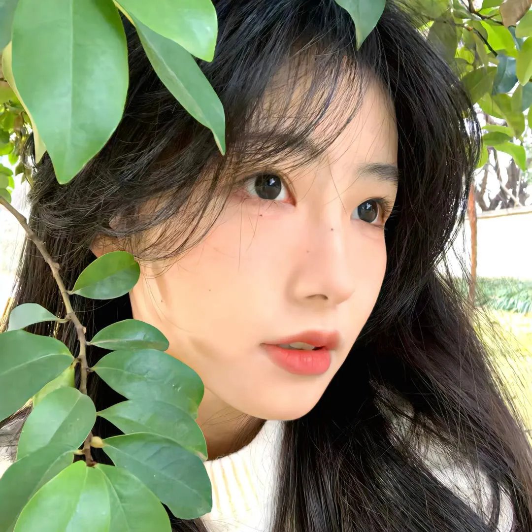 微笑的人们高清在线观看封面